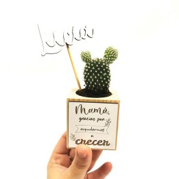 CACTUS CON MACETITA PERSONALIZADA
