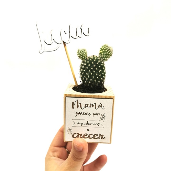 CACTUS CON MACETITA PERSONALIZADA