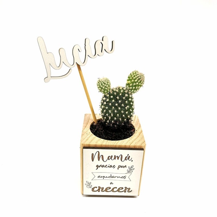 CACTUS CON MACETITA PERSONALIZADA