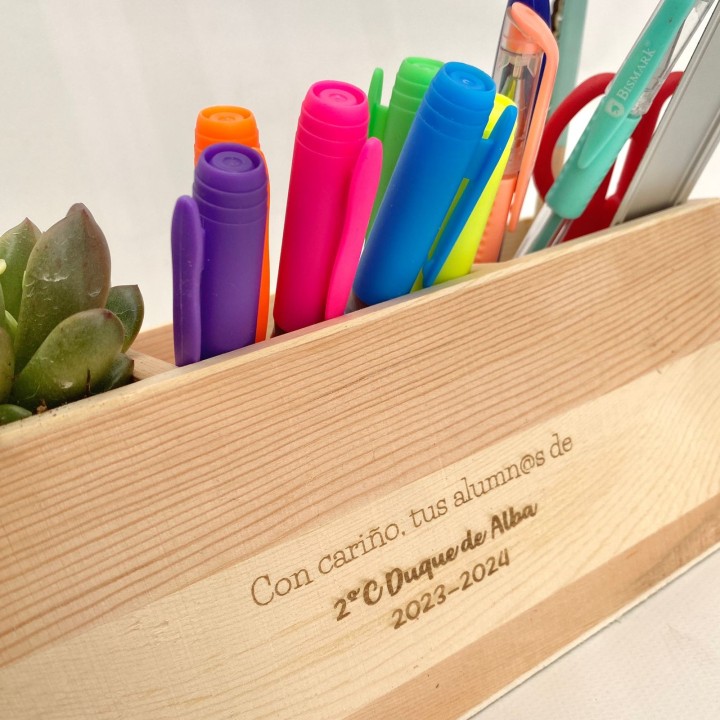 CAJÓN ORGANIZADOR CON PLANTITA Y MATERIAL